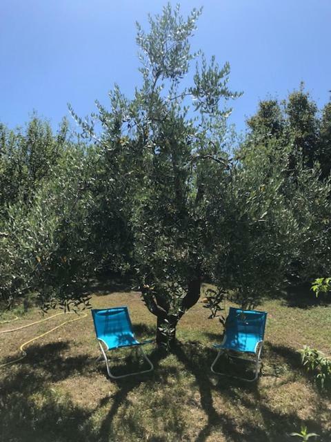 Casa Lory Poggio Murella Εξωτερικό φωτογραφία